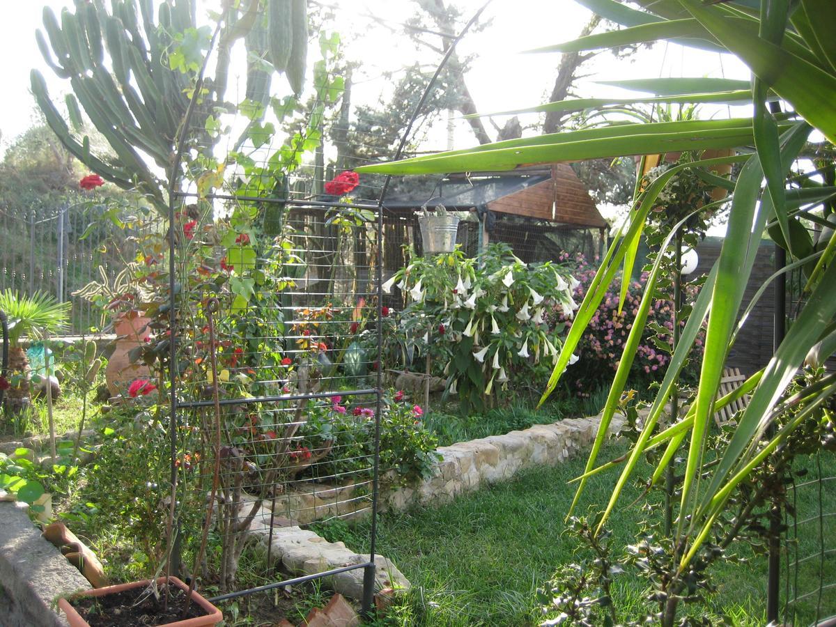 Oasi Del Lago Regalbuto Ngoại thất bức ảnh