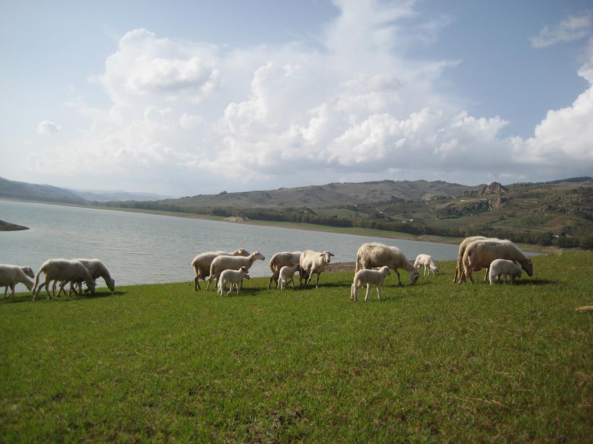 Oasi Del Lago Regalbuto Ngoại thất bức ảnh